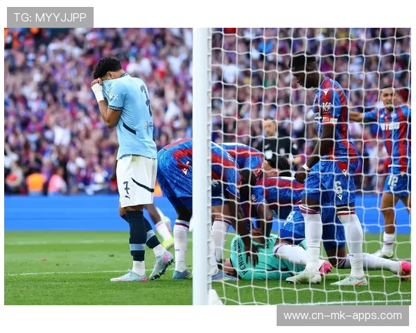 水晶宫想抢在热刺之前拿下德甲未来锋霸